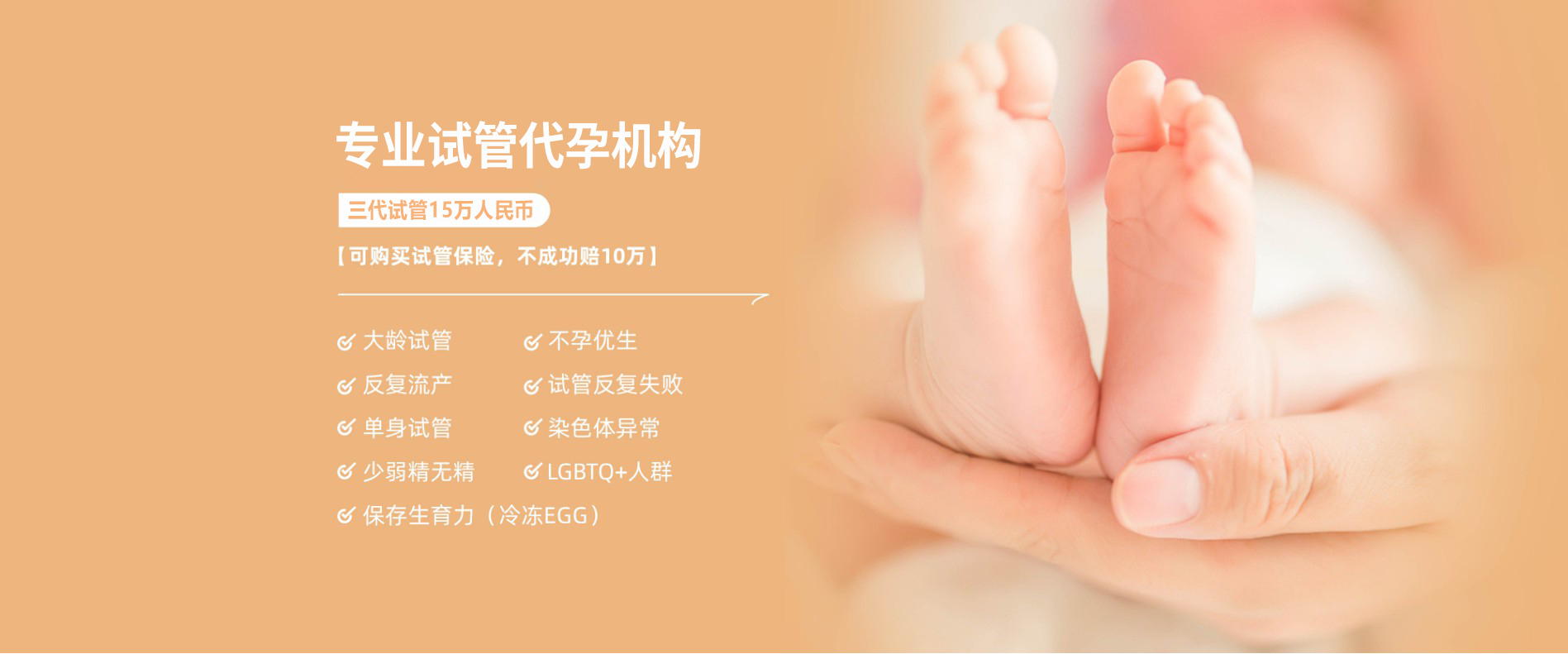 首页banner2